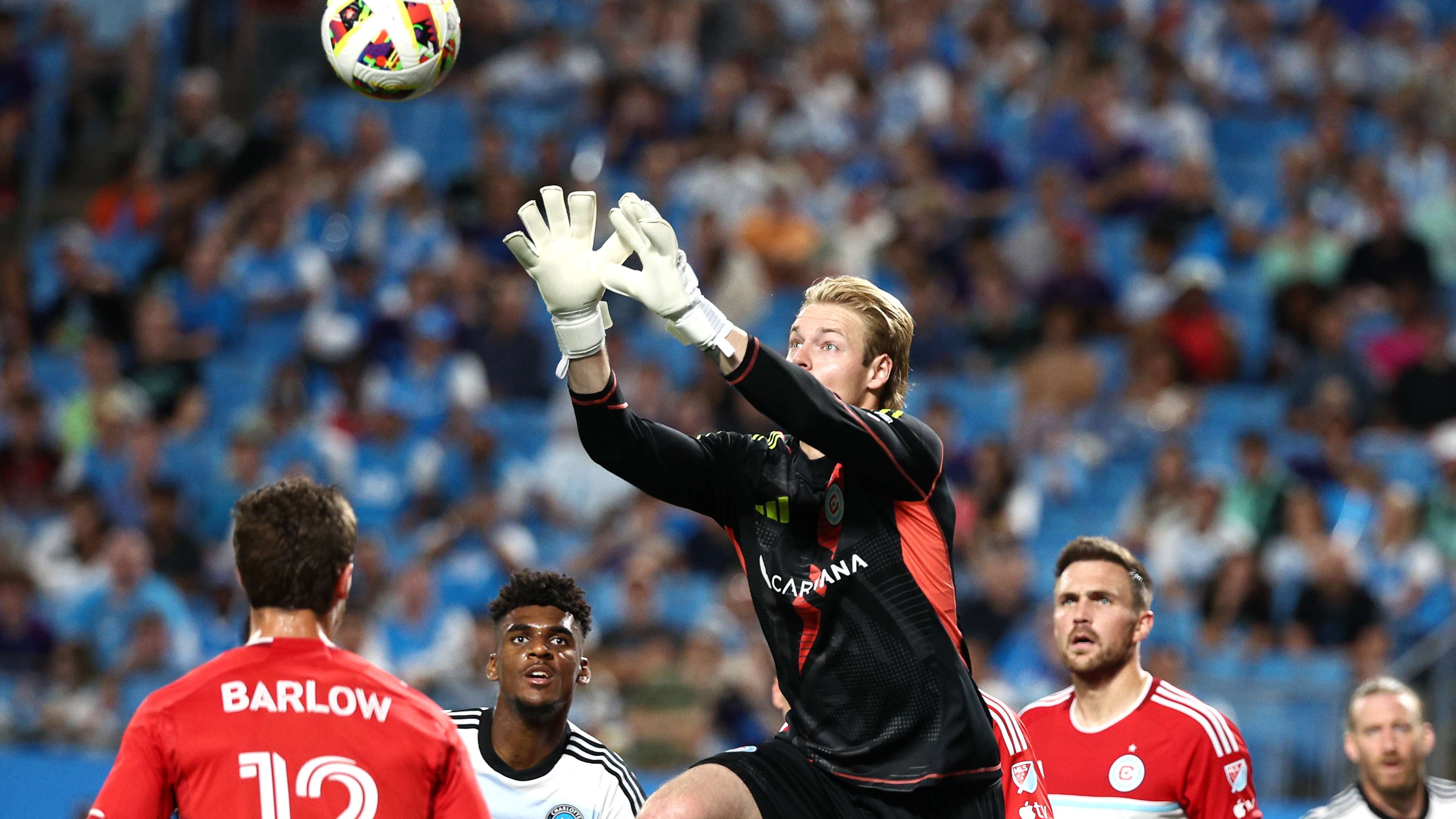 教科书级别 教科书级别